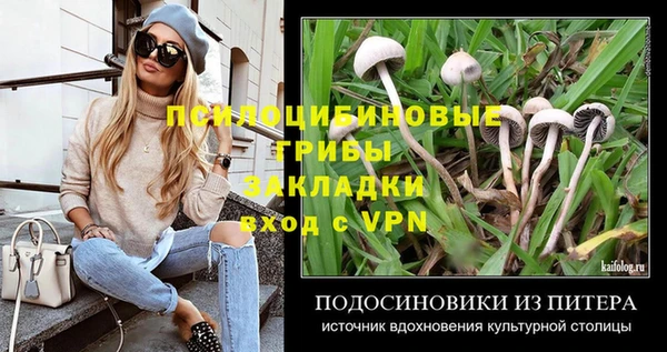 стафф Абинск
