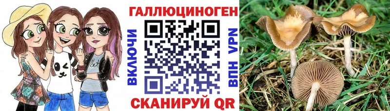 Псилоцибиновые грибы Magic Shrooms  Лысково 